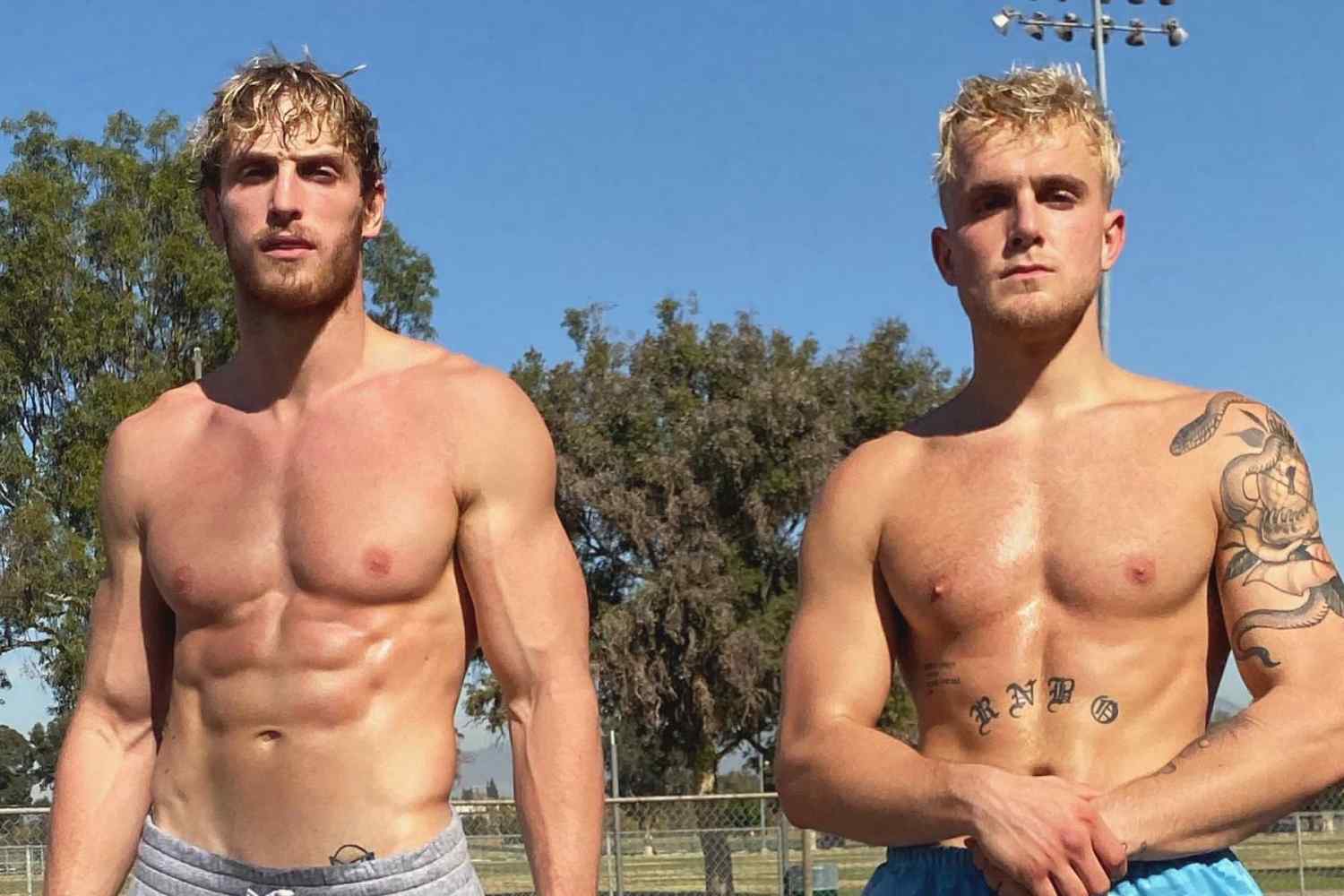 Buy Jake Paul or Logan Paul crypto promo (Tweet) [6.3m followers] | Degen Marketing